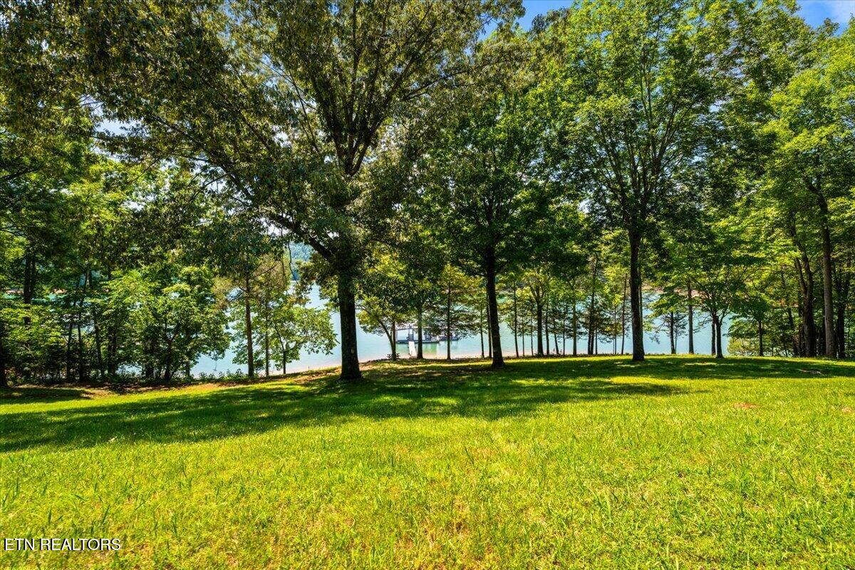 444 Chapman Village Drive Lafollette TN 37766