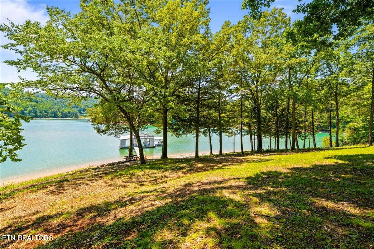 444 Chapman Village Drive Lafollette TN 37766