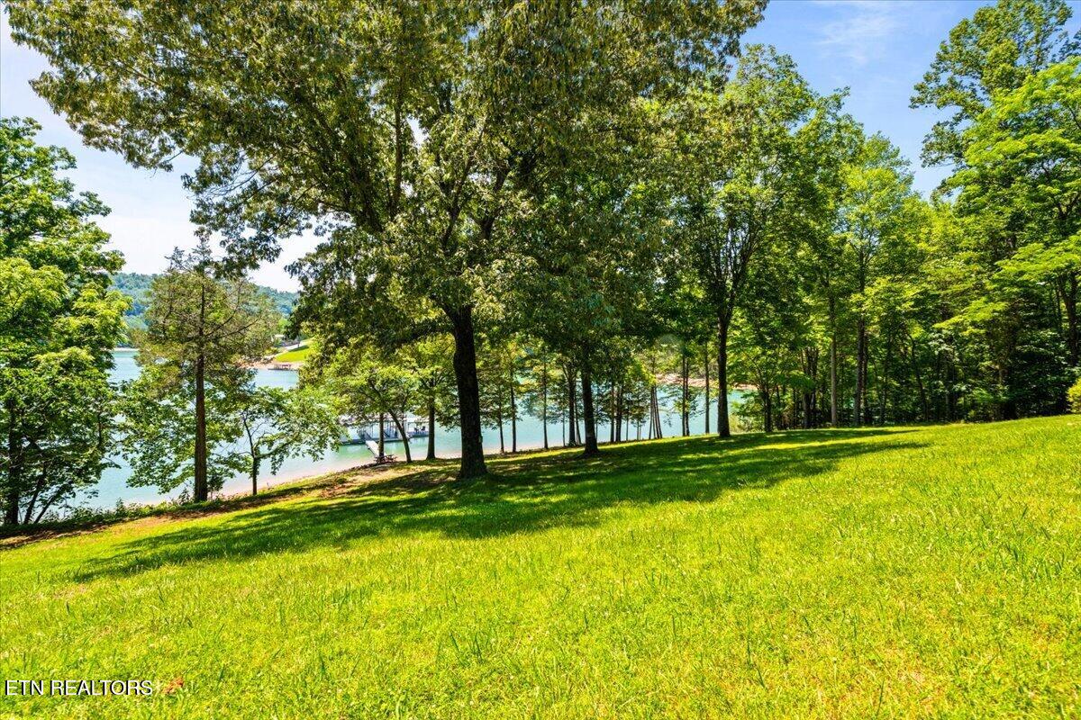 444 Chapman Village Drive Lafollette TN 37766