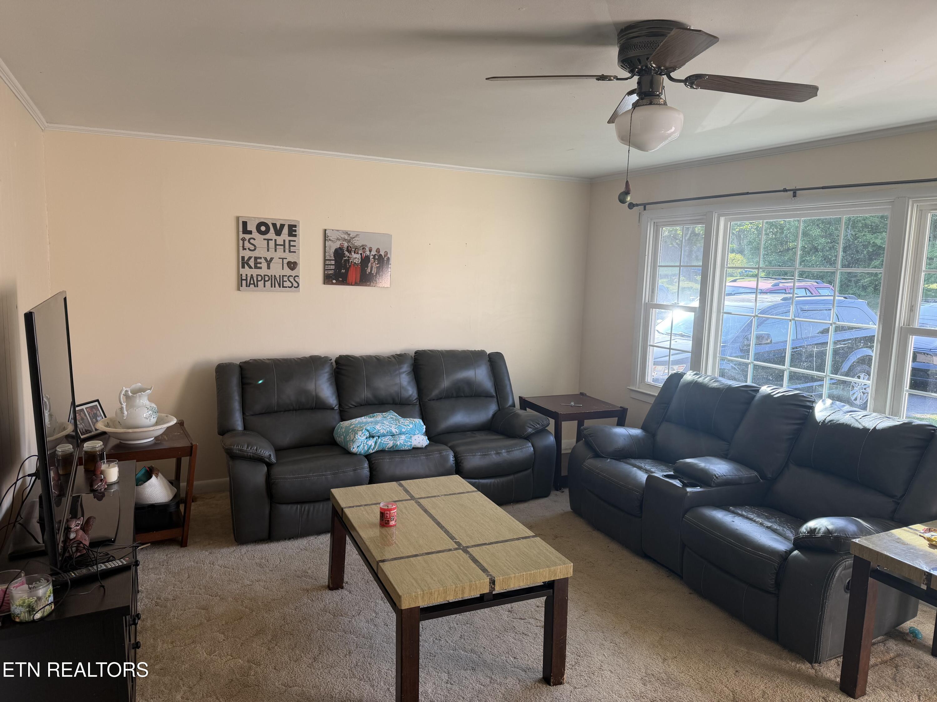 113 Sherwood Avenue Calhoun TN 37309