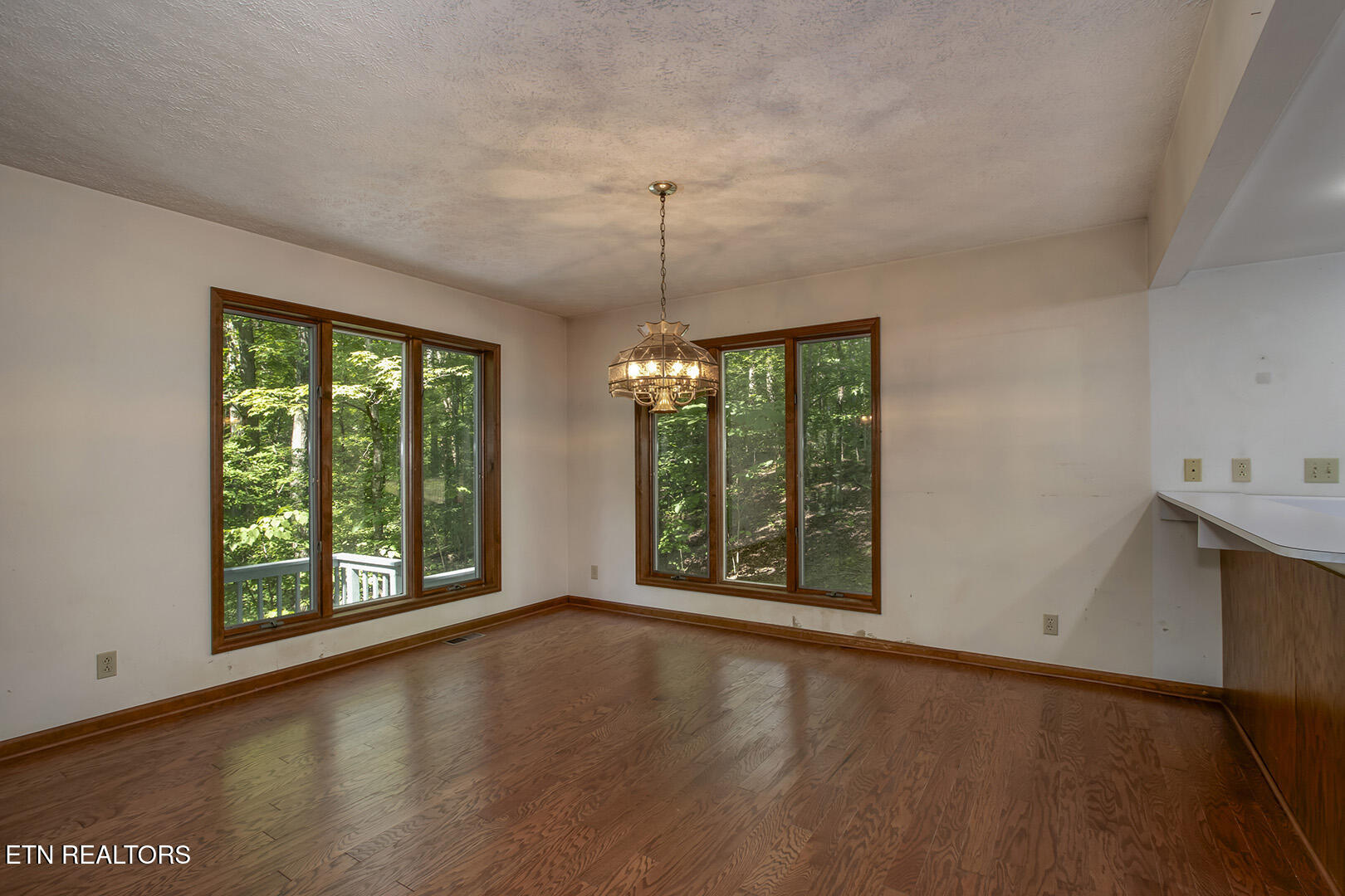 1560 Bluebird Cove Lane Sevierville TN 37862