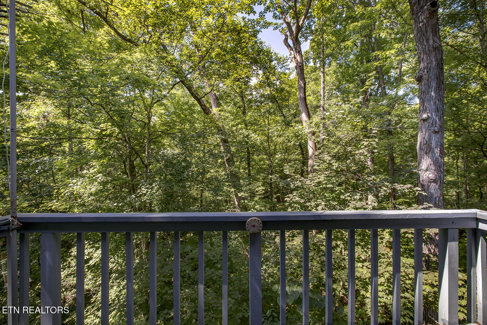 1560 Bluebird Cove Lane Sevierville TN 37862