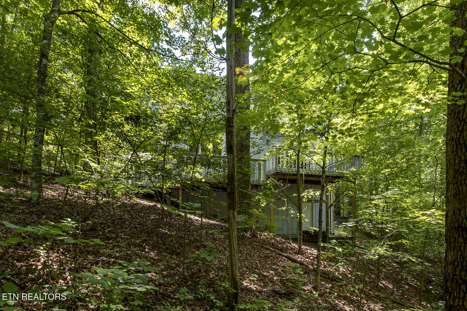 1560 Bluebird Cove Lane Sevierville TN 37862