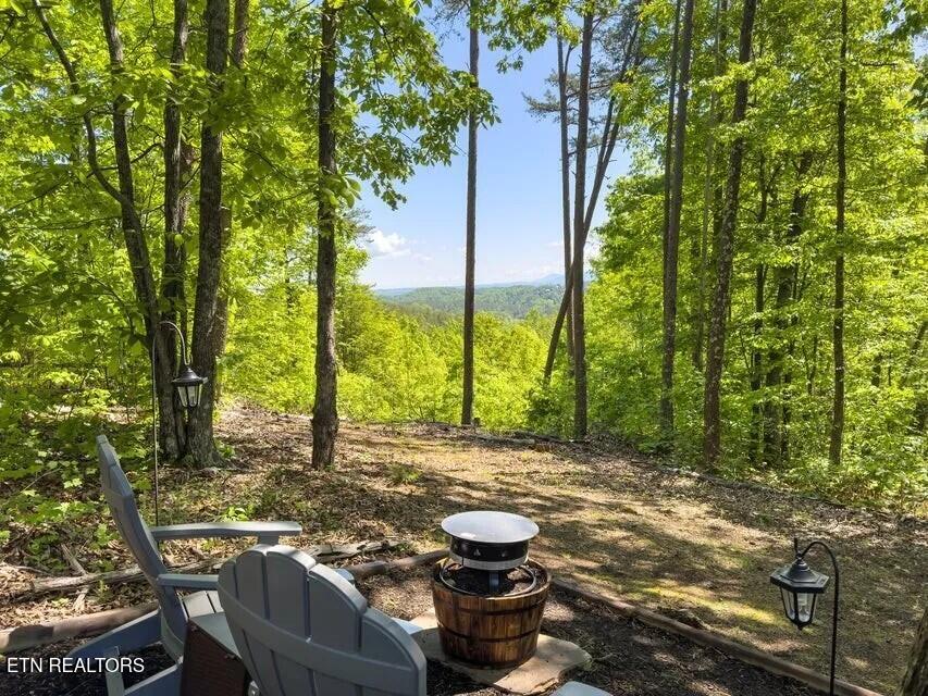 1654 S Mountain View Road Sevierville TN 37876