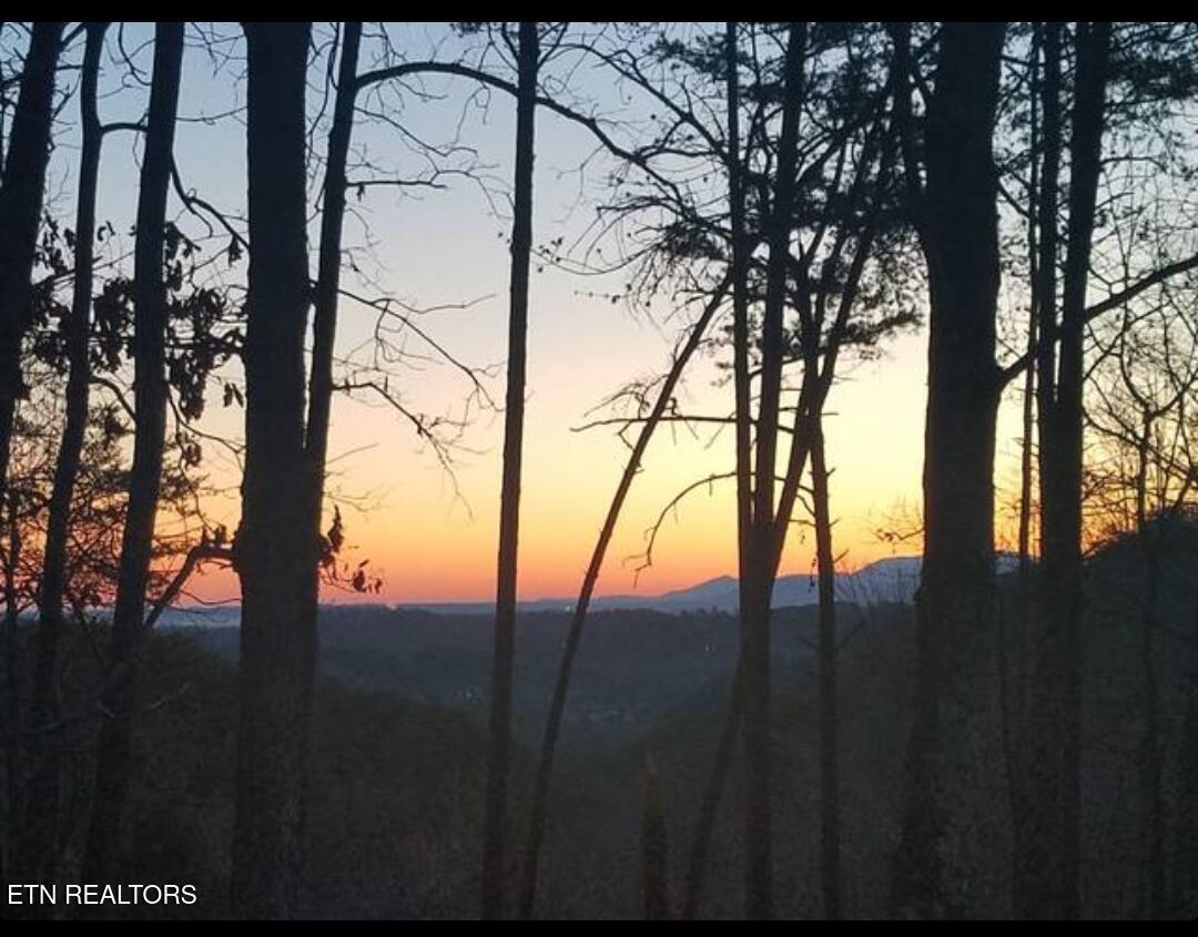 1654 S Mountain View Road Sevierville TN 37876