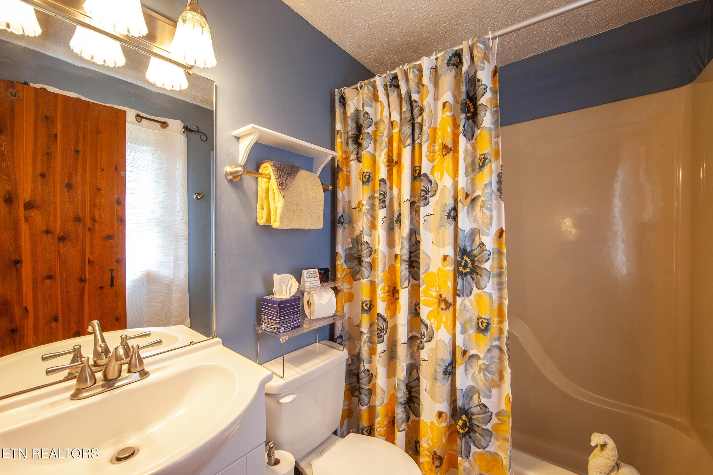 1654 S Mountain View Road Sevierville TN 37876