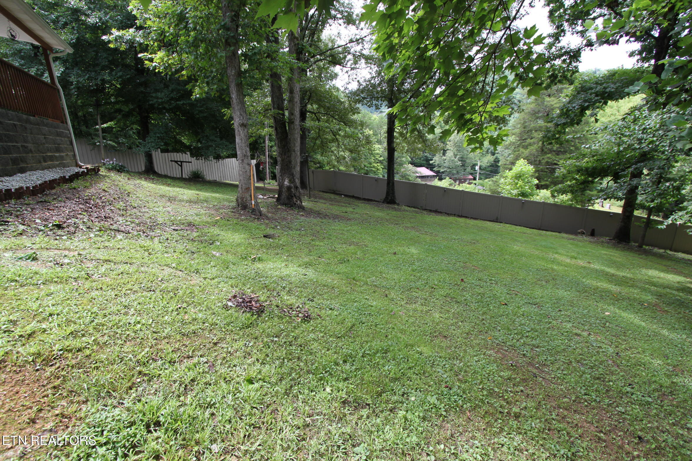 1150 Tranquility Hills Way Cosby TN 37722