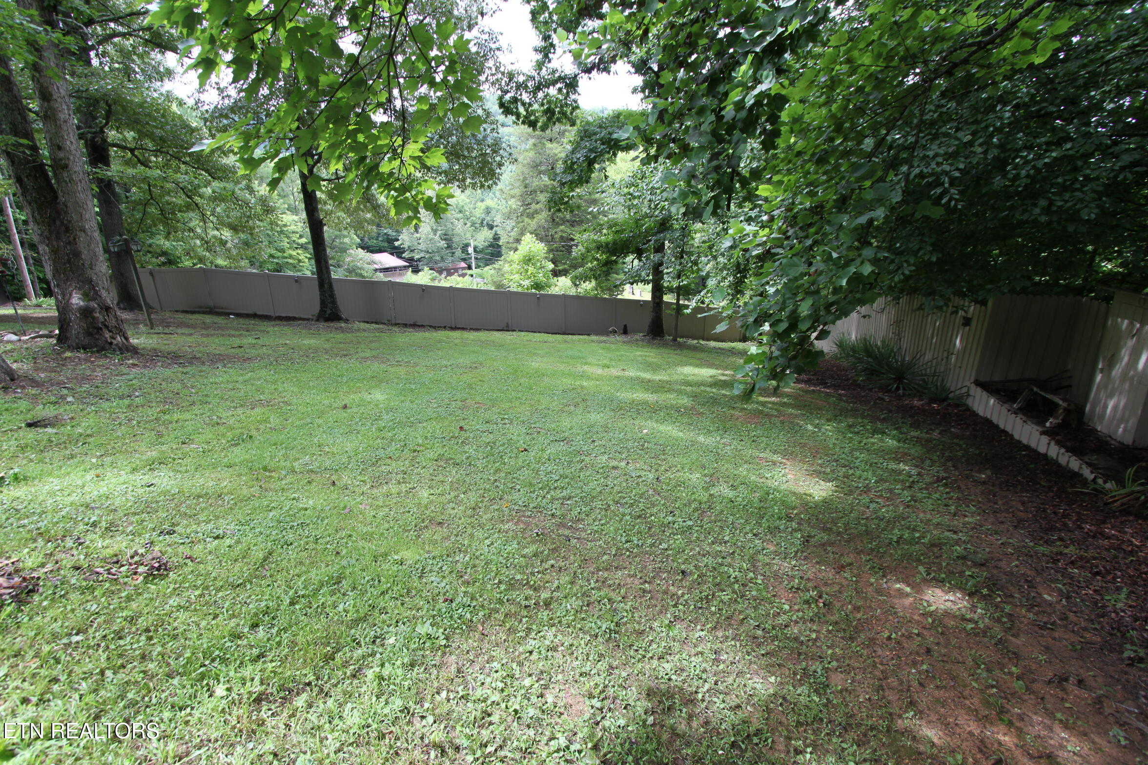 1150 Tranquility Hills Way Cosby TN 37722