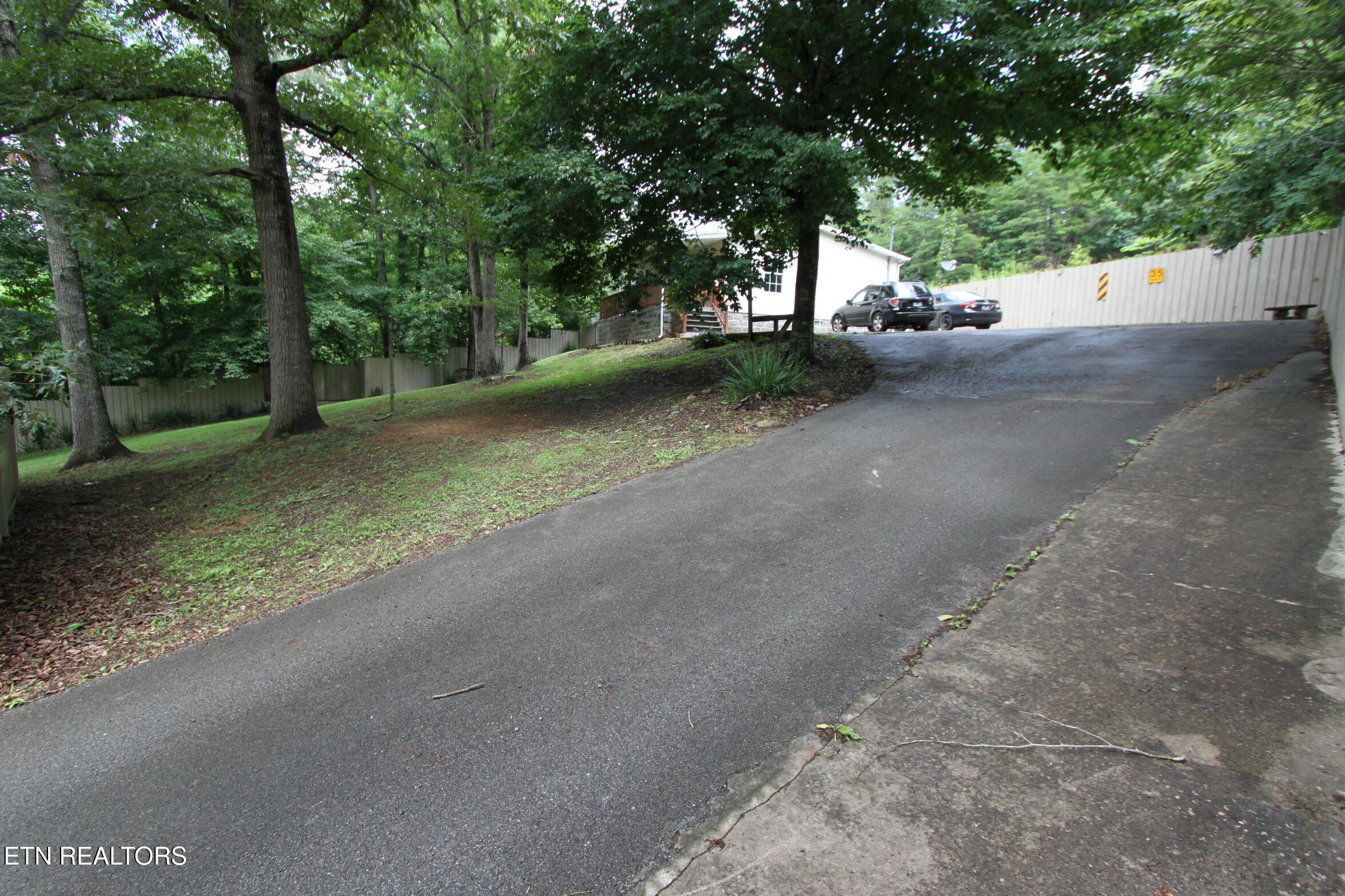1150 Tranquility Hills Way Cosby TN 37722