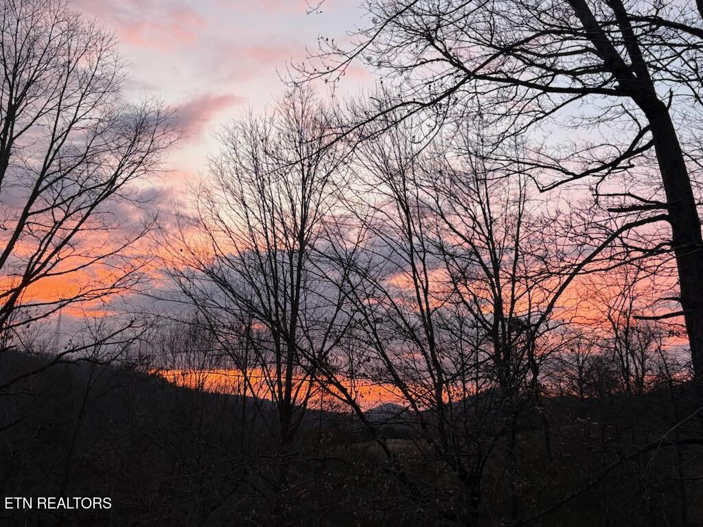 1150 Tranquility Hills Way Cosby TN 37722
