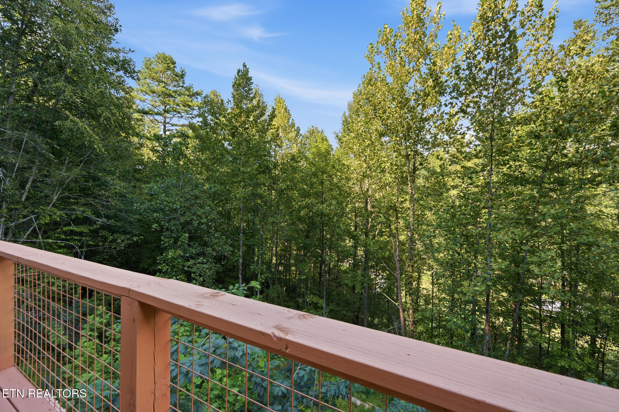2912 Kettle Creek Way Sevierville TN 37876