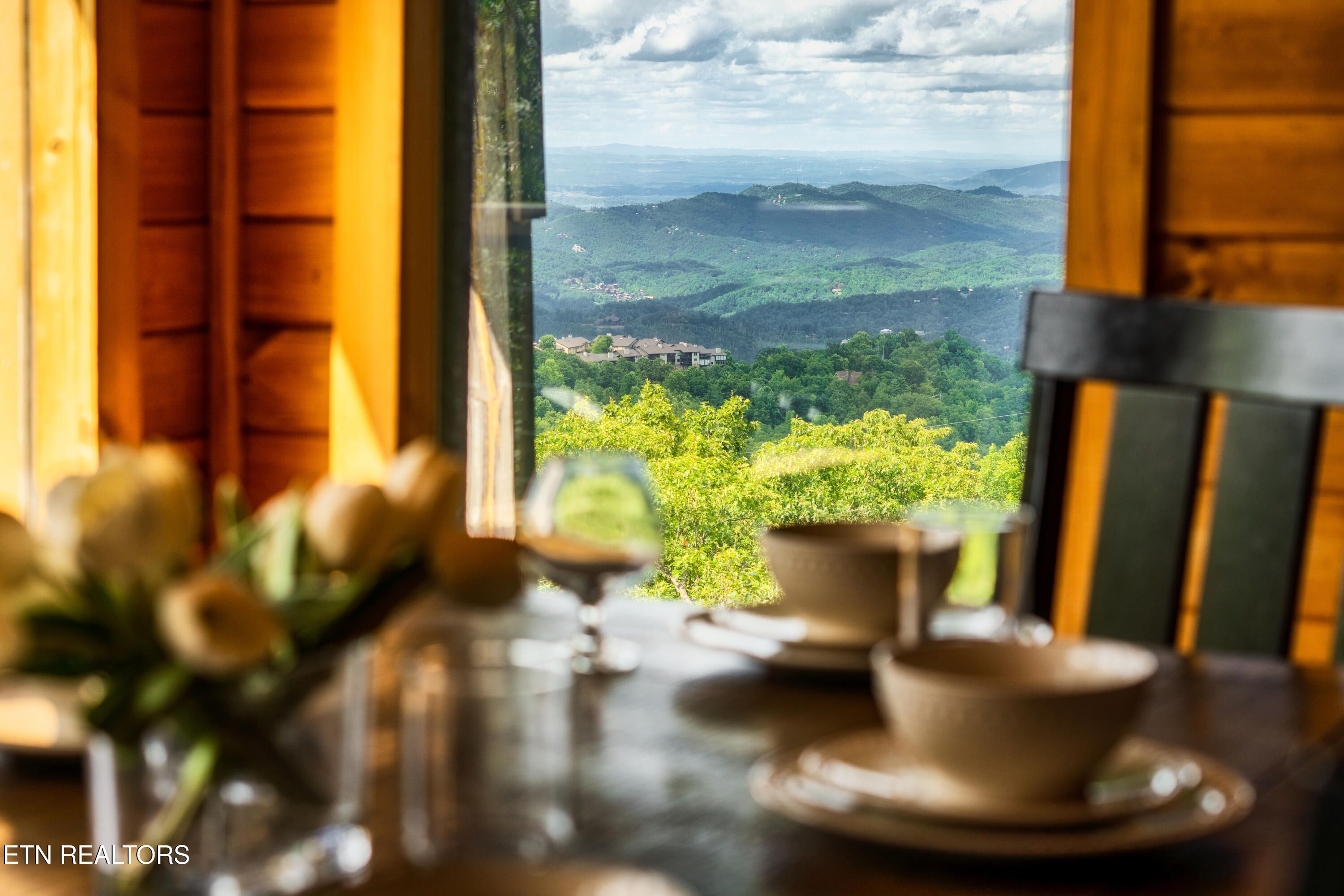 2226 Street Moritz Court Gatlinburg TN 37738