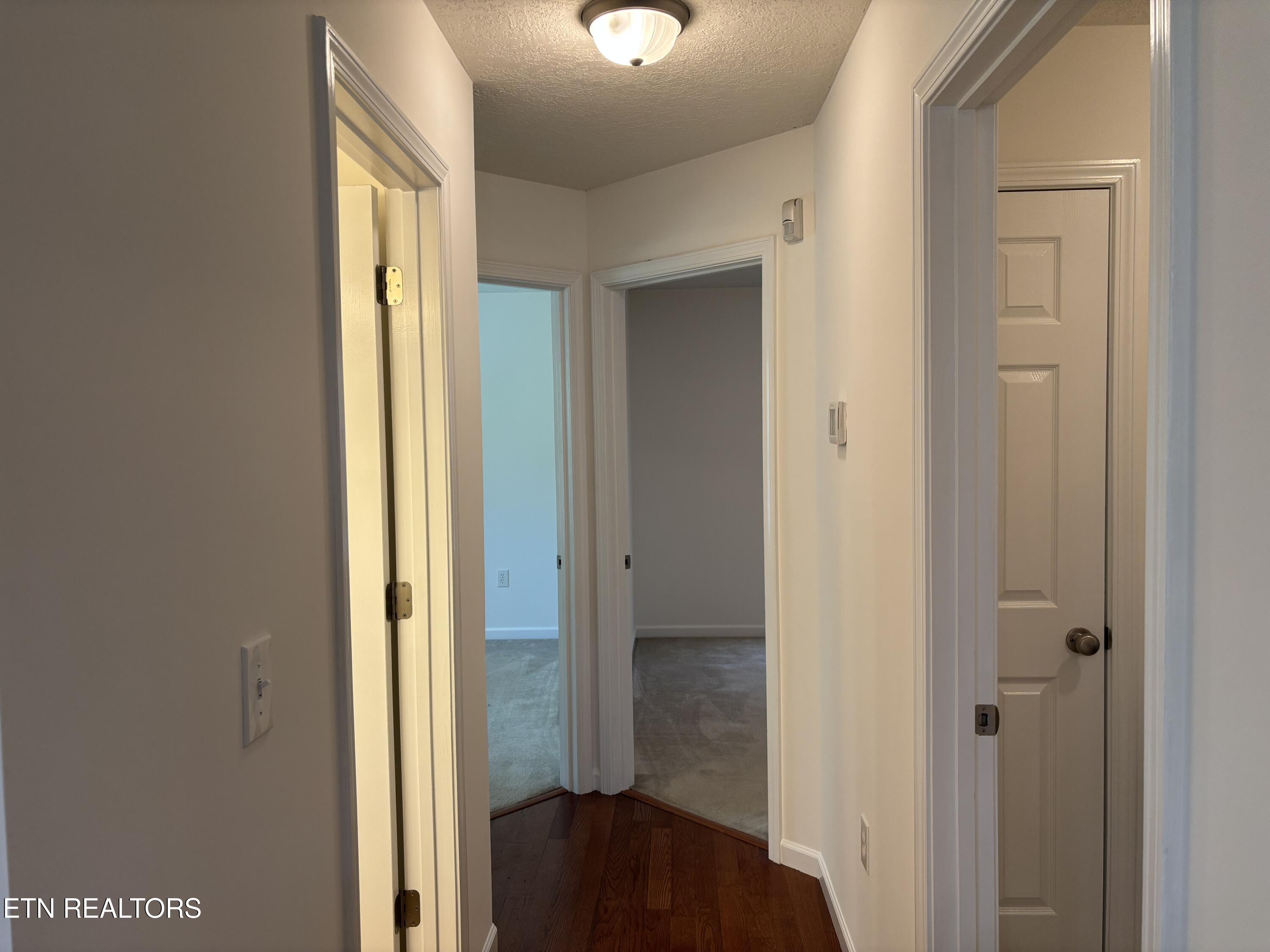 2043 Bluebonnet Drive Mascot TN 37806