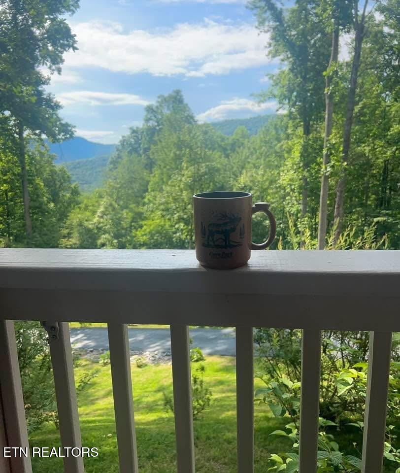 1016 Country Mountain Road Cosby TN 37722