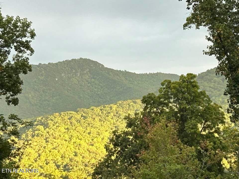 1016 Country Mountain Road Cosby TN 37722