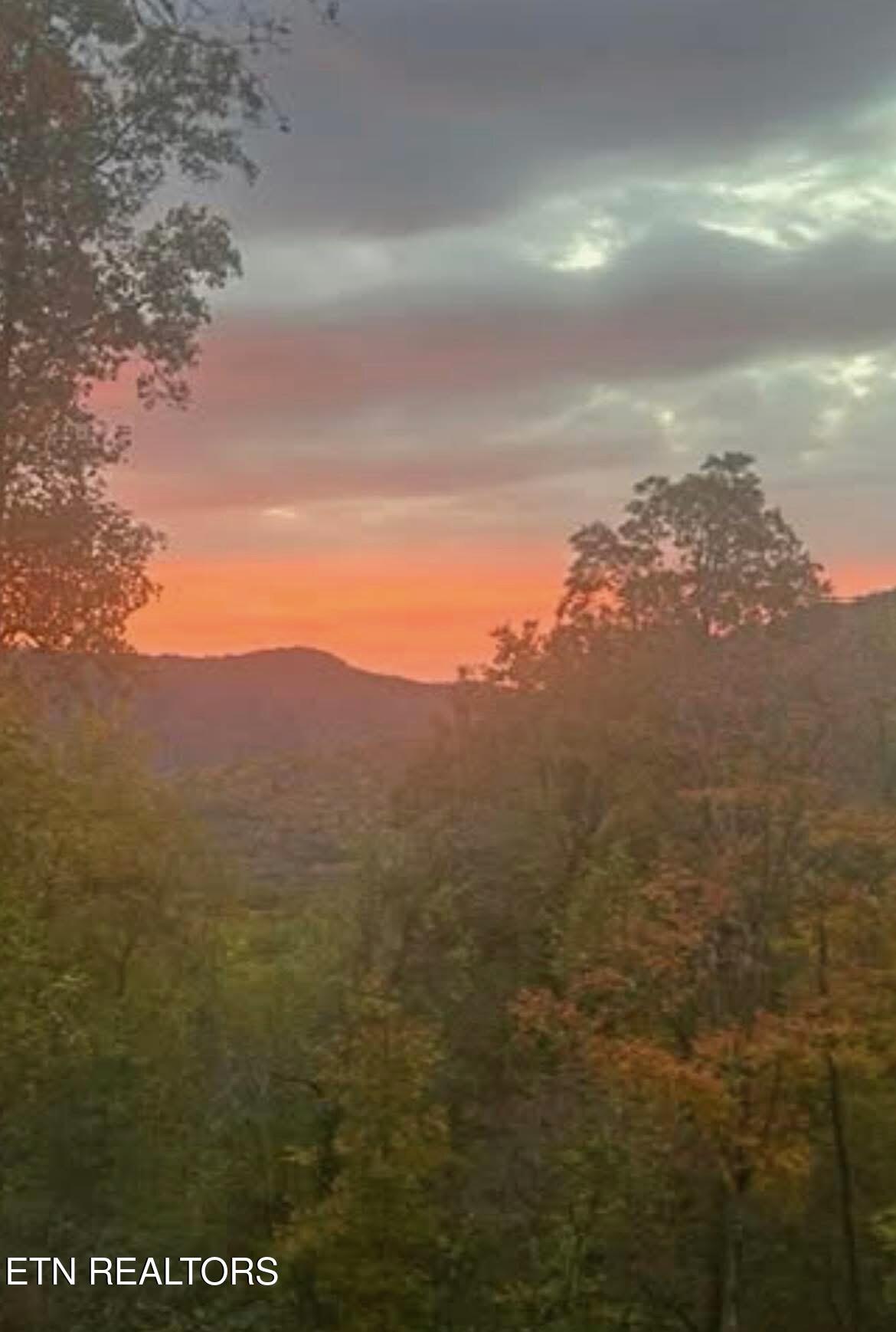 1016 Country Mountain Road Cosby TN 37722