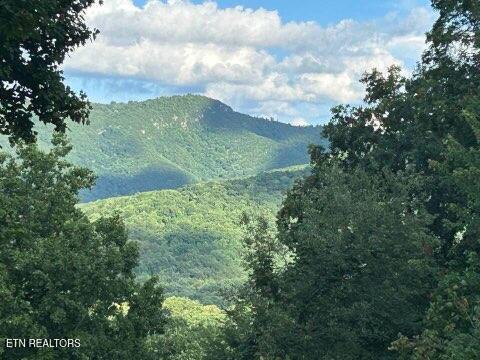 1016 Country Mountain Road Cosby TN 37722