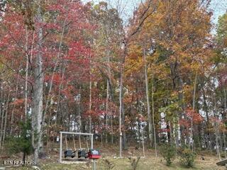 1016 Country Mountain Road Cosby TN 37722