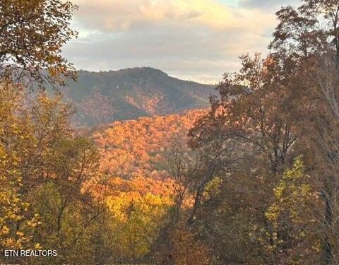 1016 Country Mountain Road Cosby TN 37722