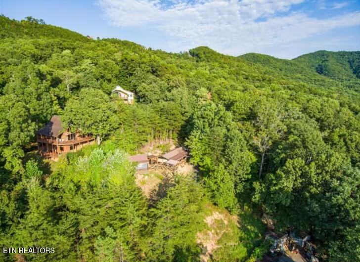3506 Country Dreams Way Sevierville TN 37862