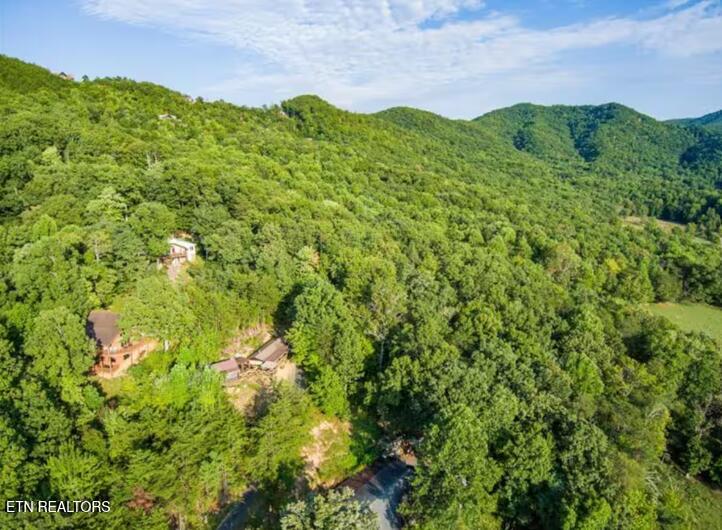 3506 Country Dreams Way Sevierville TN 37862