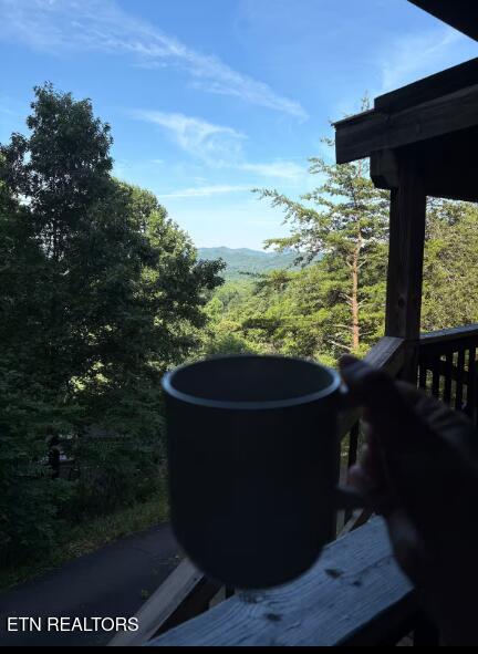 3506 Country Dreams Way Sevierville TN 37862