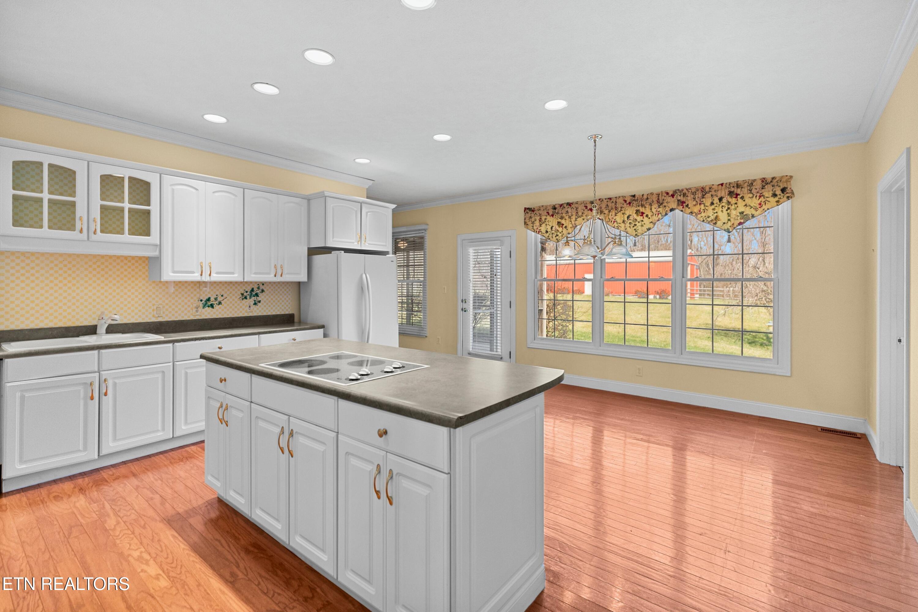 1141 Carolina Drive Dandridge TN 37725
