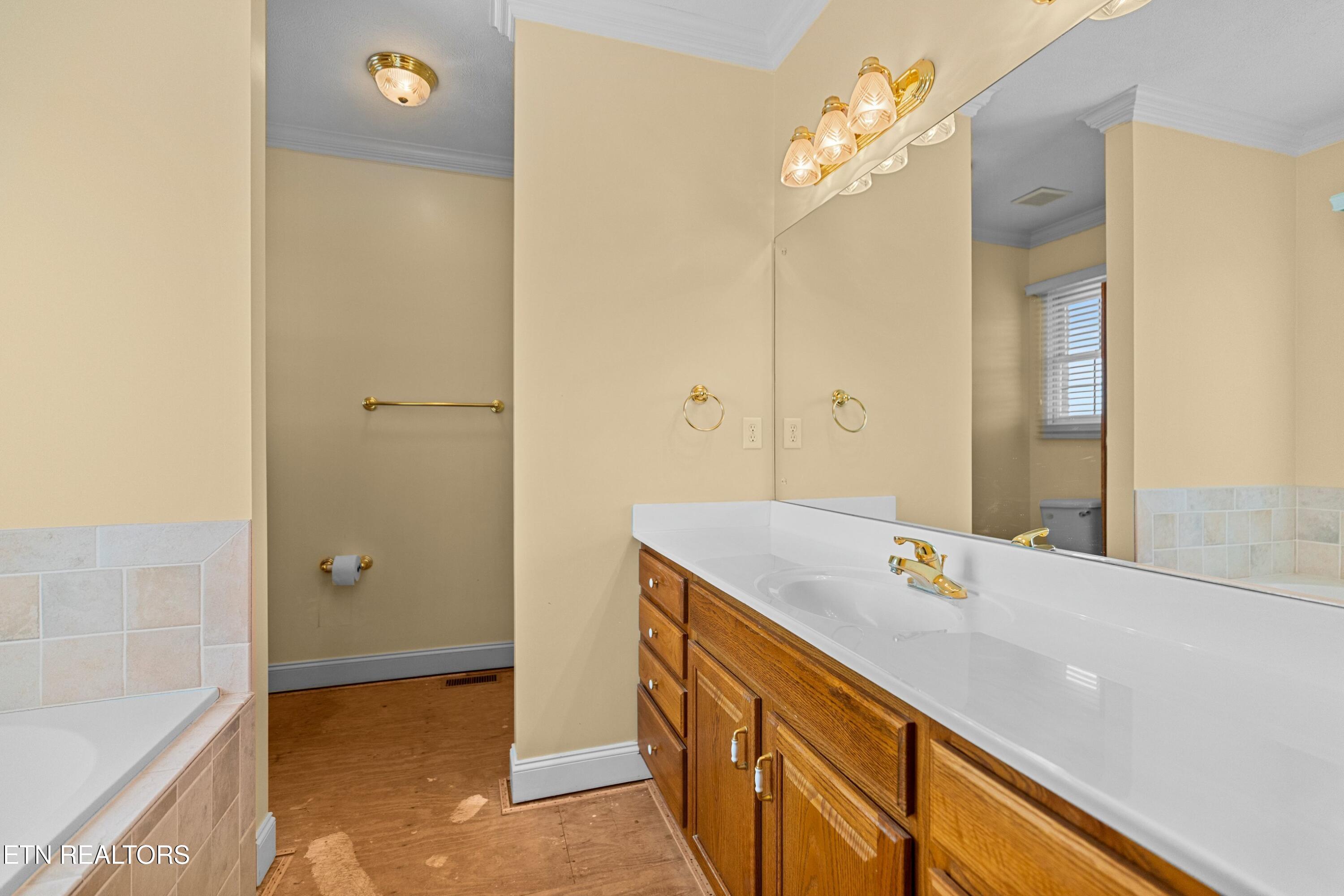 1141 Carolina Drive Dandridge TN 37725