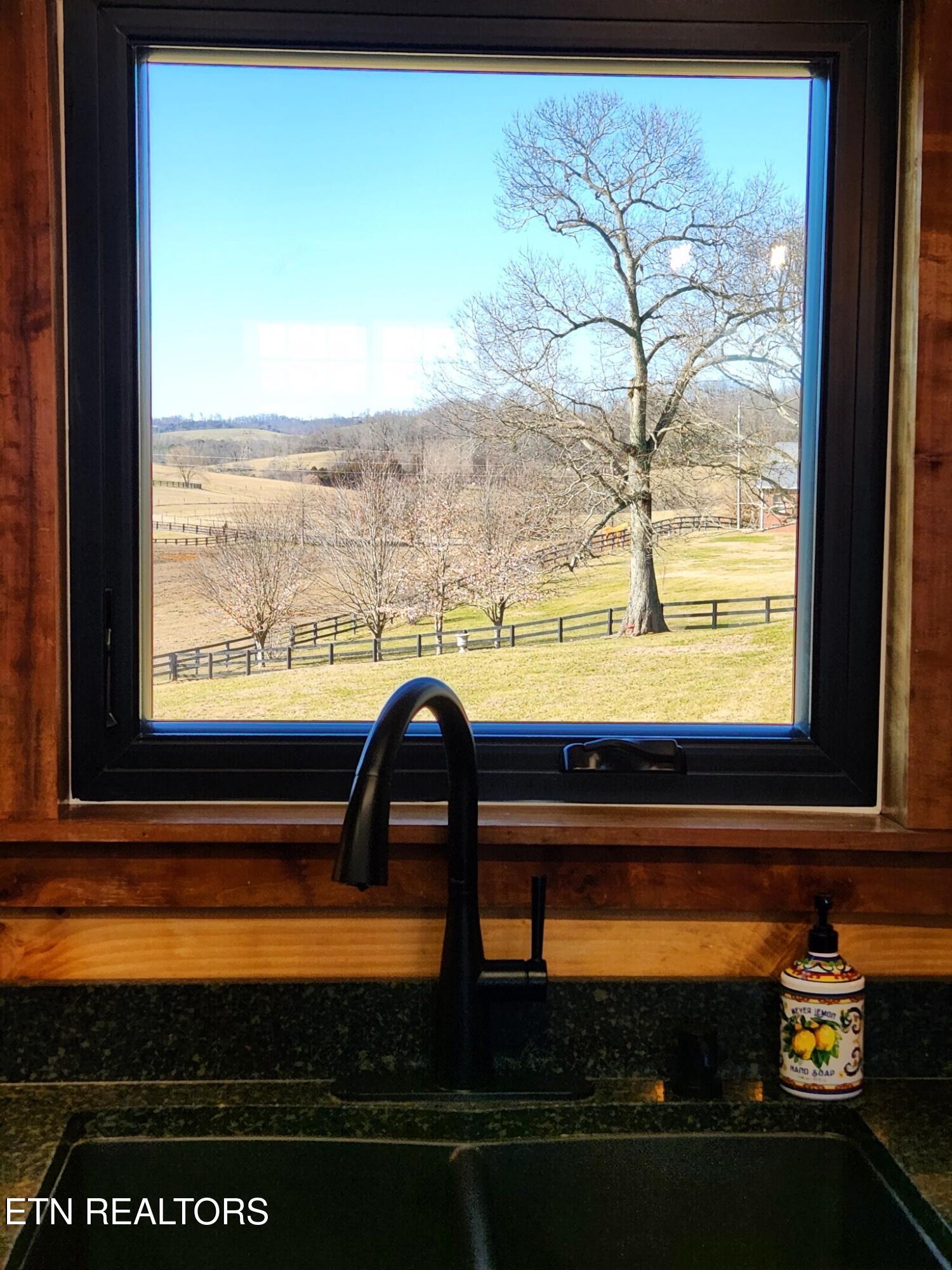 735 Ball Road White Pine TN 37890