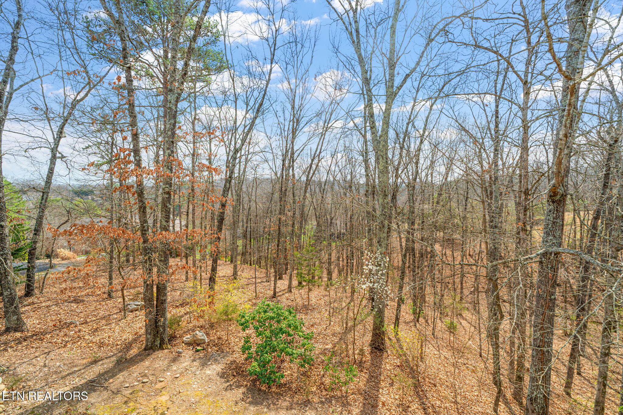 213 Coyatee Drive Loudon TN 37774