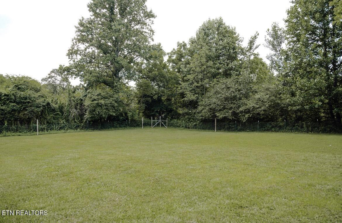 935 Pine Tree Road Jamestown TN 38556