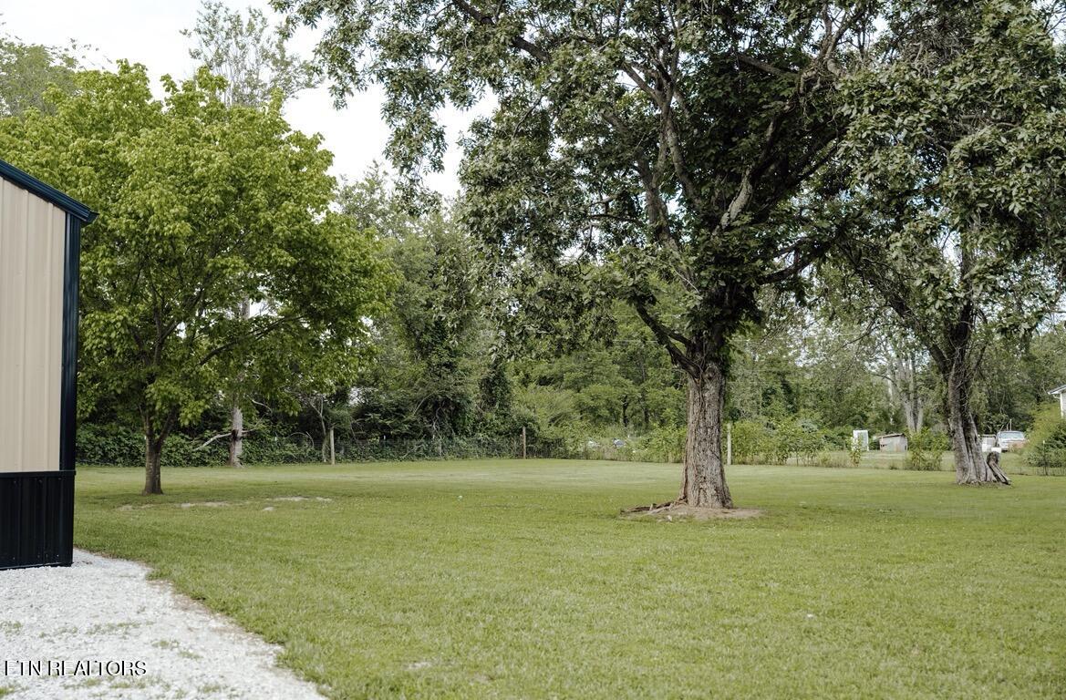 935 Pine Tree Road Jamestown TN 38556