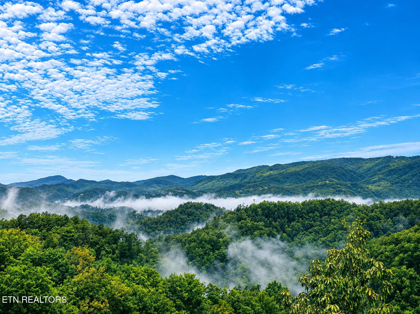 914 Black Bear Cub Way Sevierville TN 37862