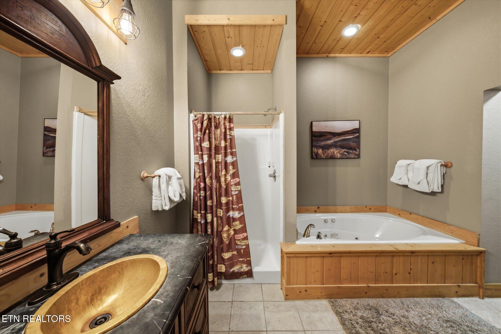 914 Black Bear Cub Way Sevierville TN 37862