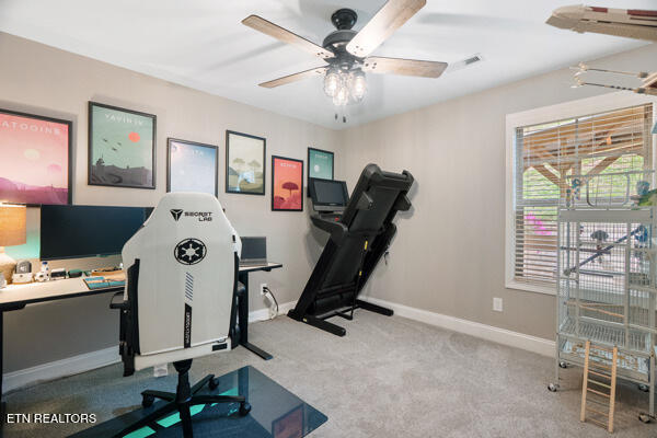 3865 High View Lane Knoxville TN 37931