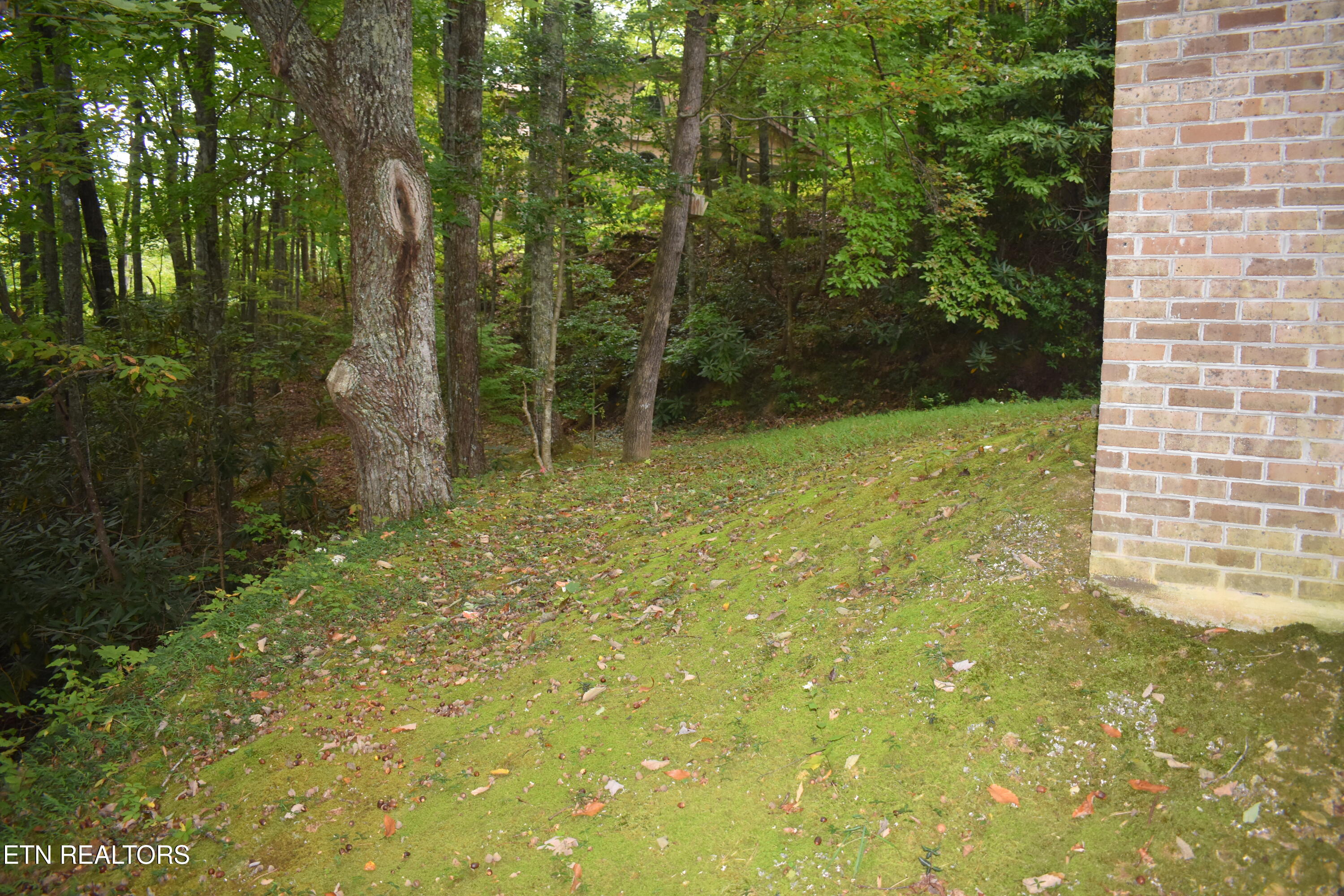 521 Jefferson Road Gatlinburg TN 37738