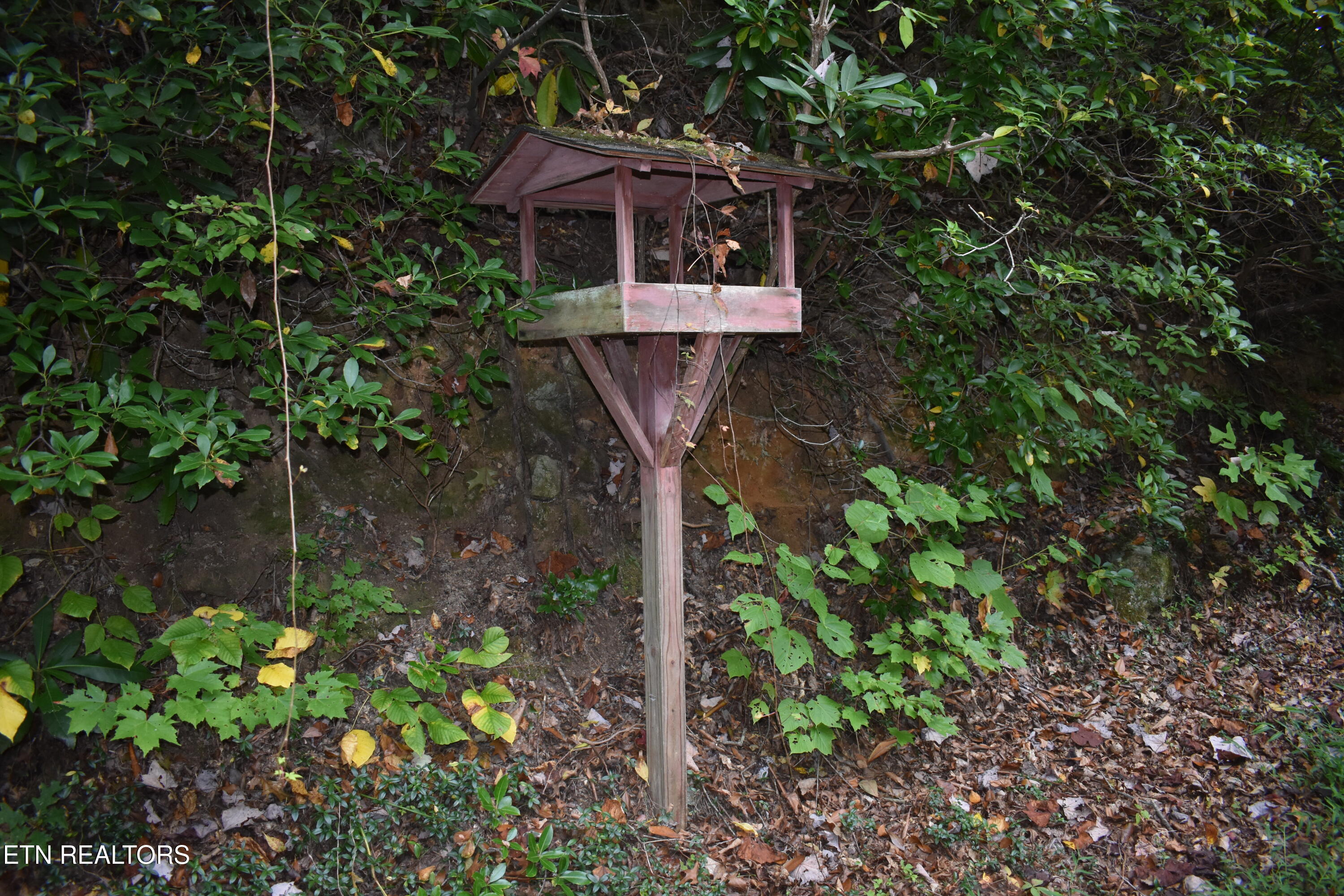 521 Jefferson Road Gatlinburg TN 37738