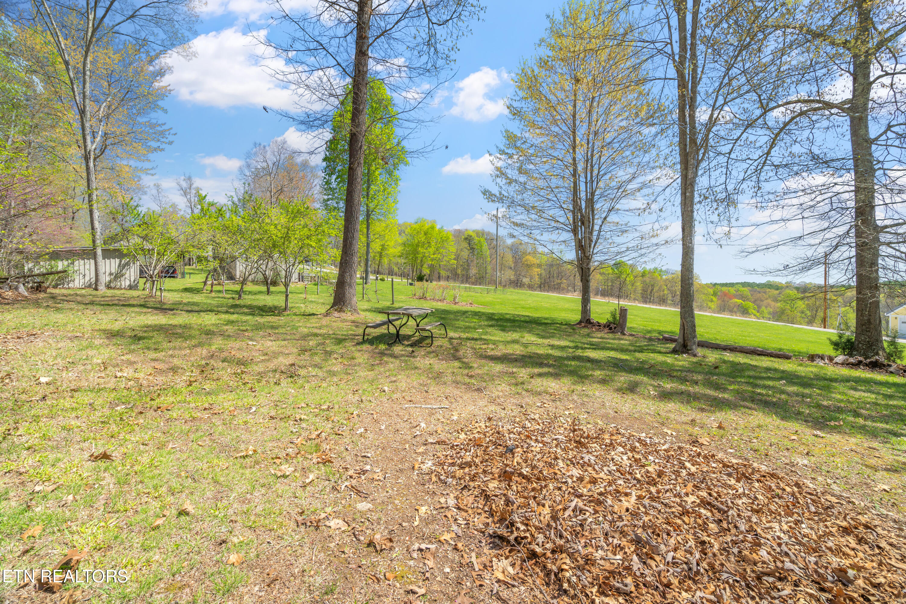 195 Kennedys Loop Lafollette TN 37766