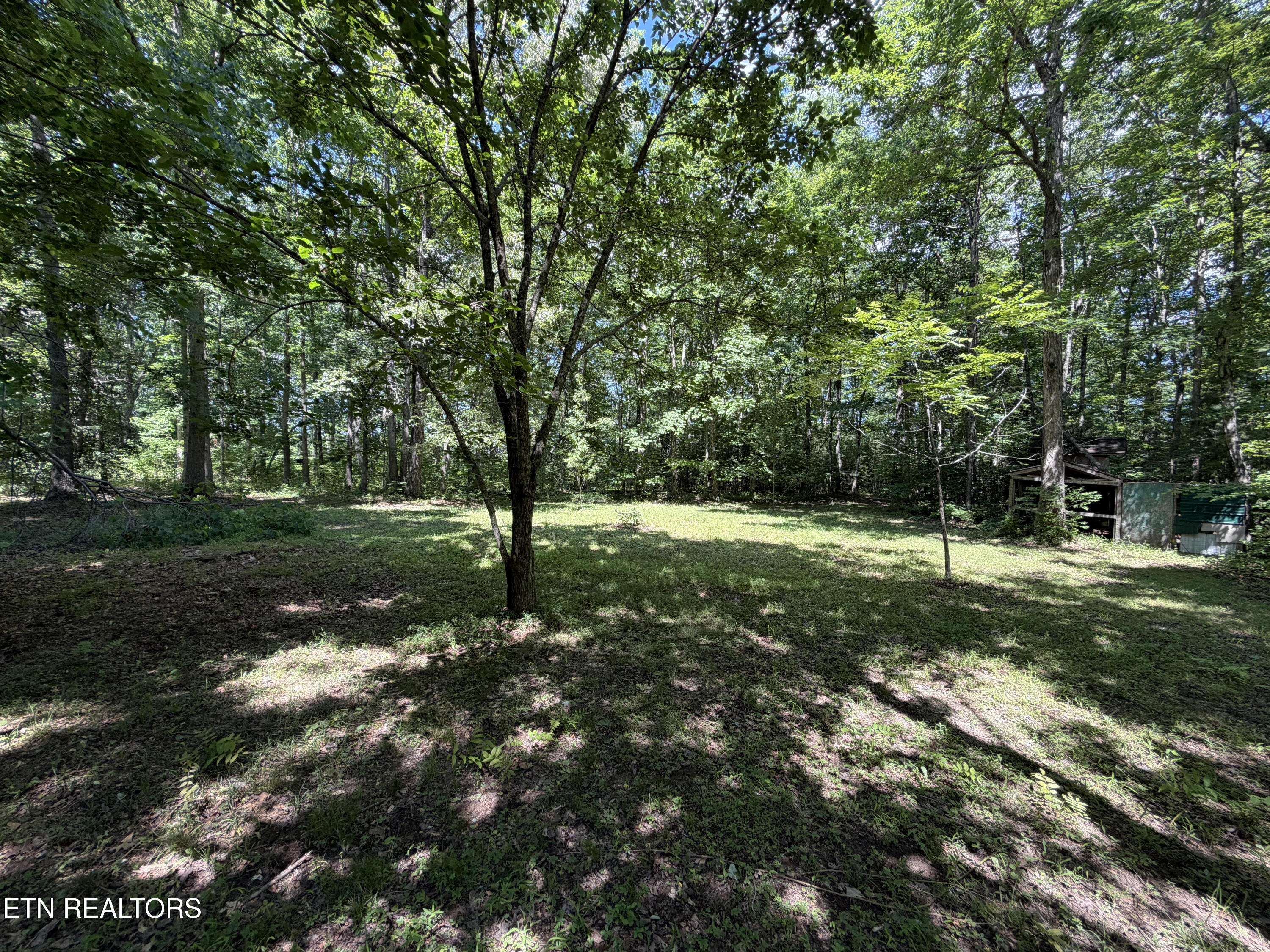 2112 Smith Mountain Road Rockwood TN 37854