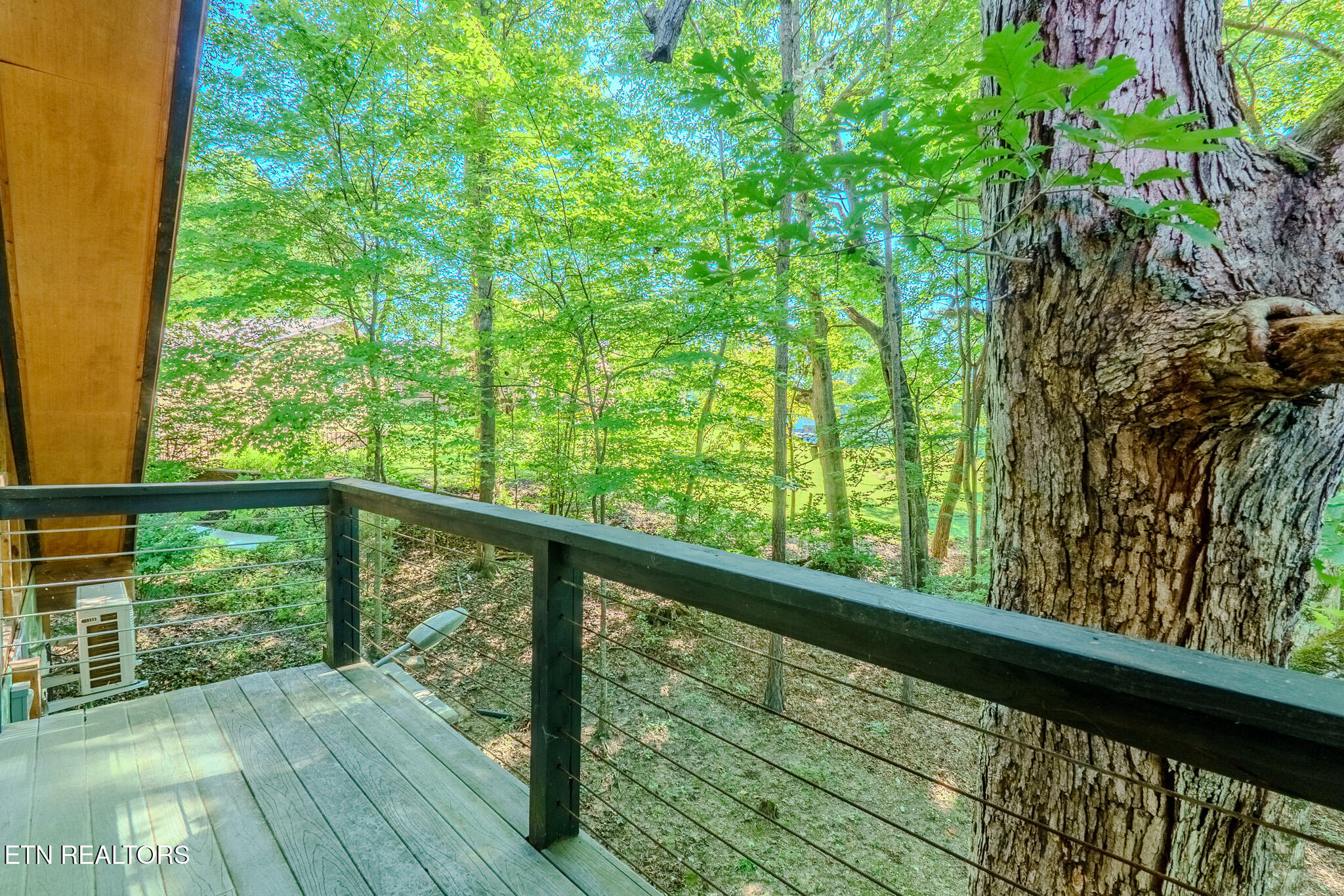 1411 Ridge Road Caryville TN 37714