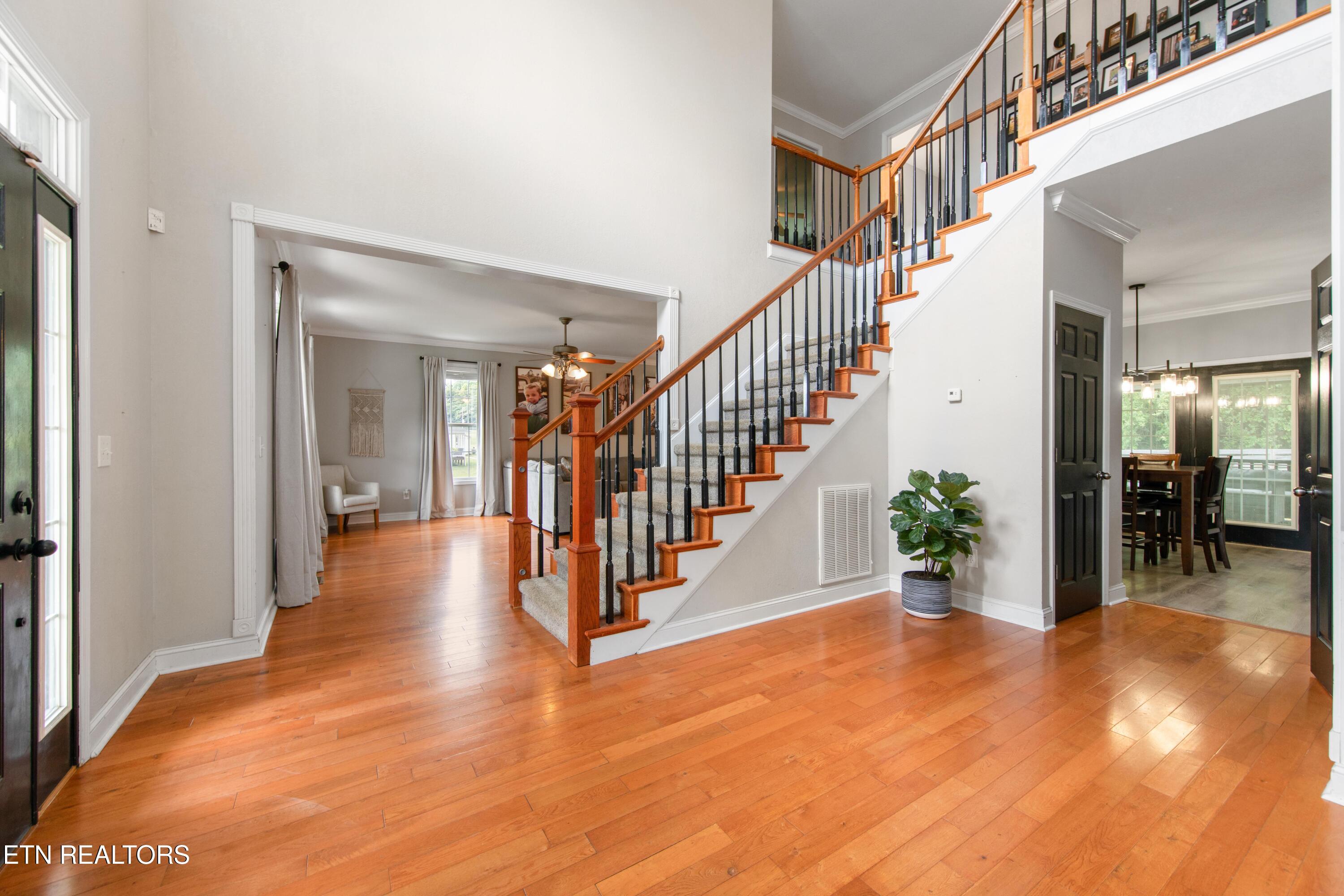 137 Chelsea Lane Lafollette TN 37766