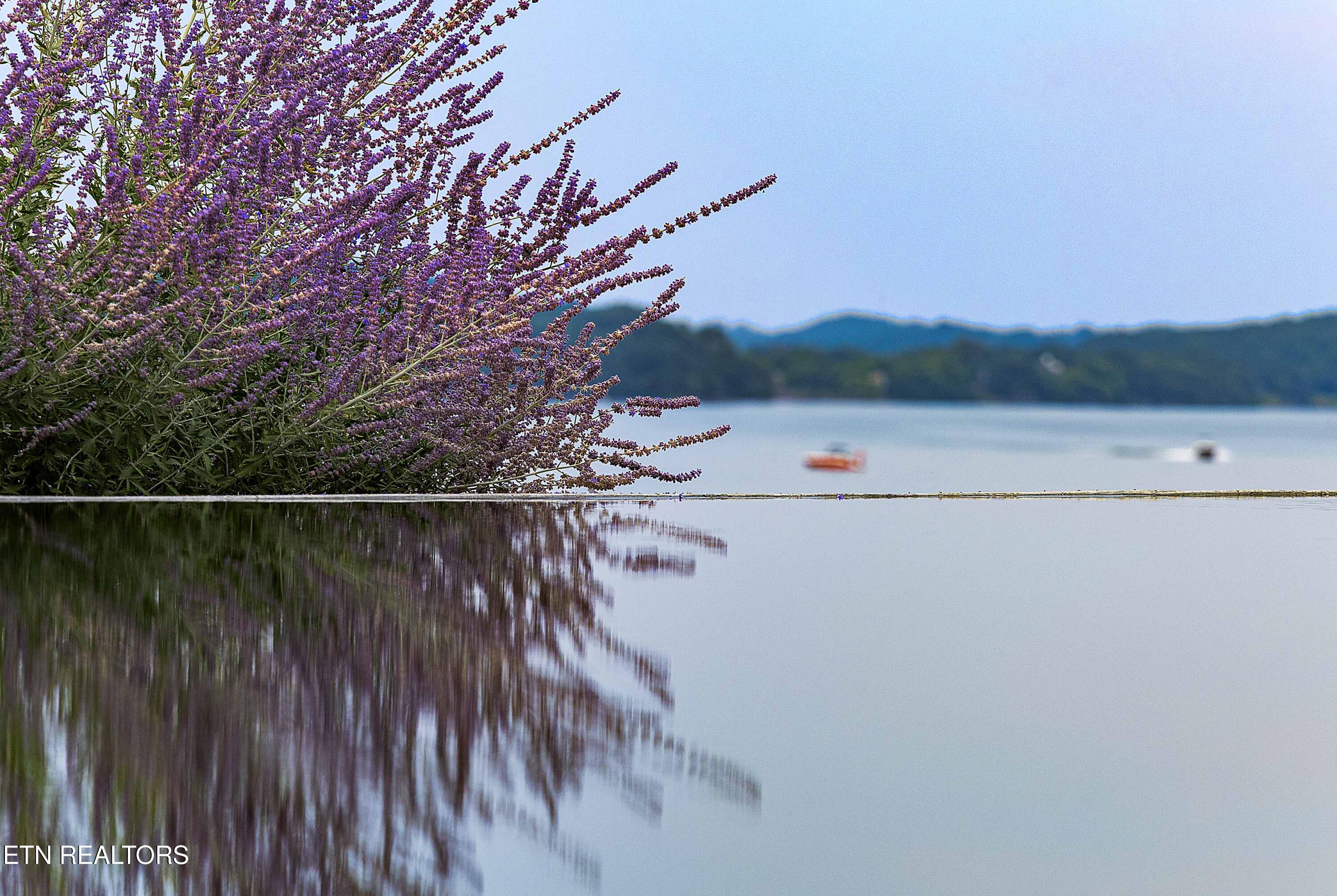 10628 Albion Way Knoxville TN 37922