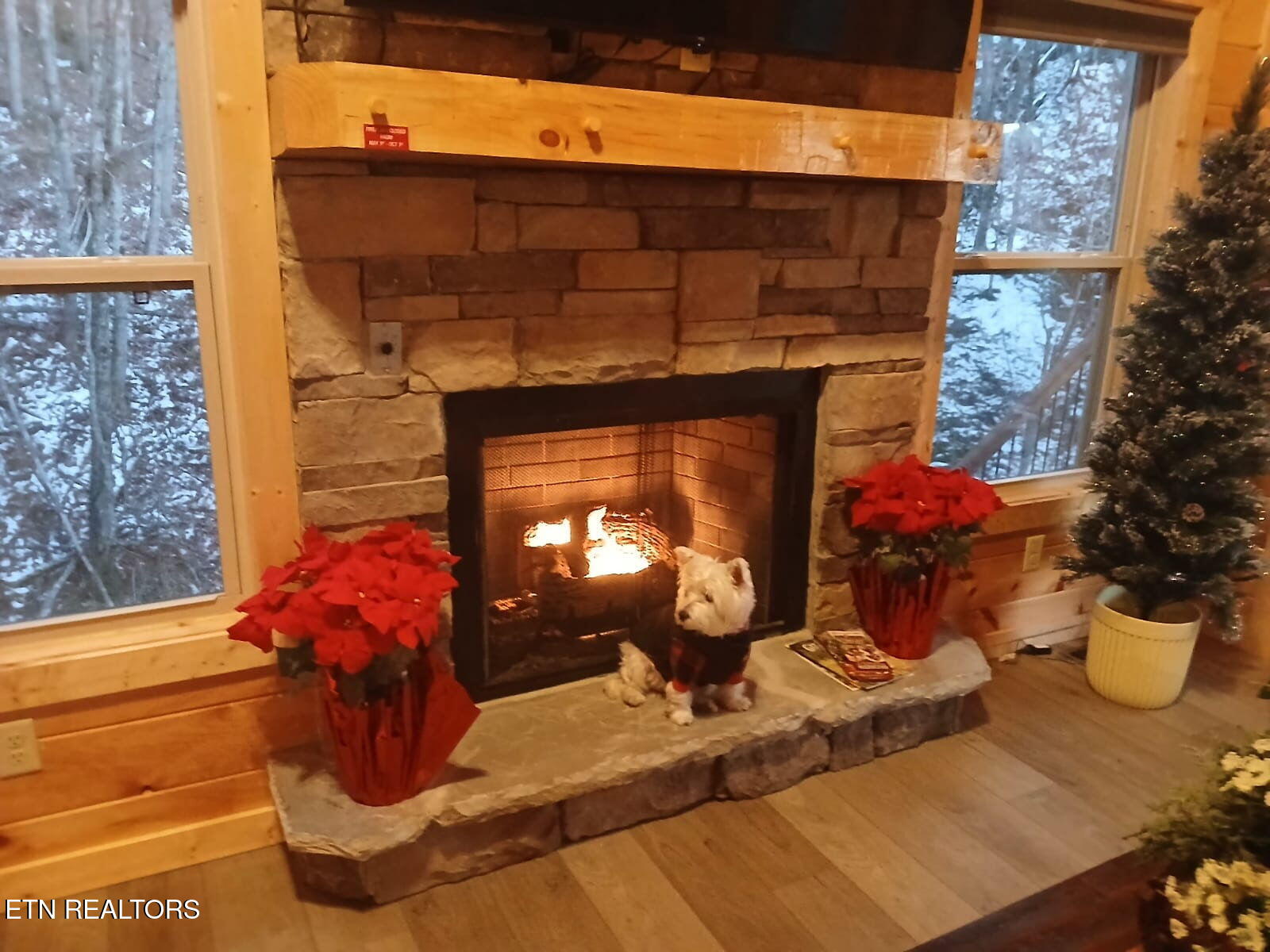 2218 Ridgeland Circle Sevierville TN 37862