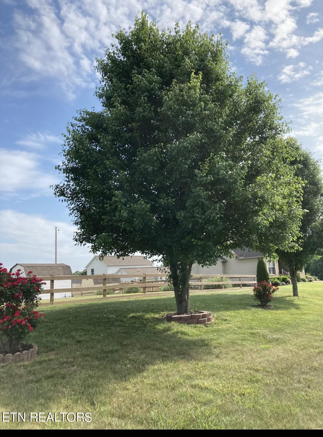 159 Austin Lane Jacksboro TN 37757