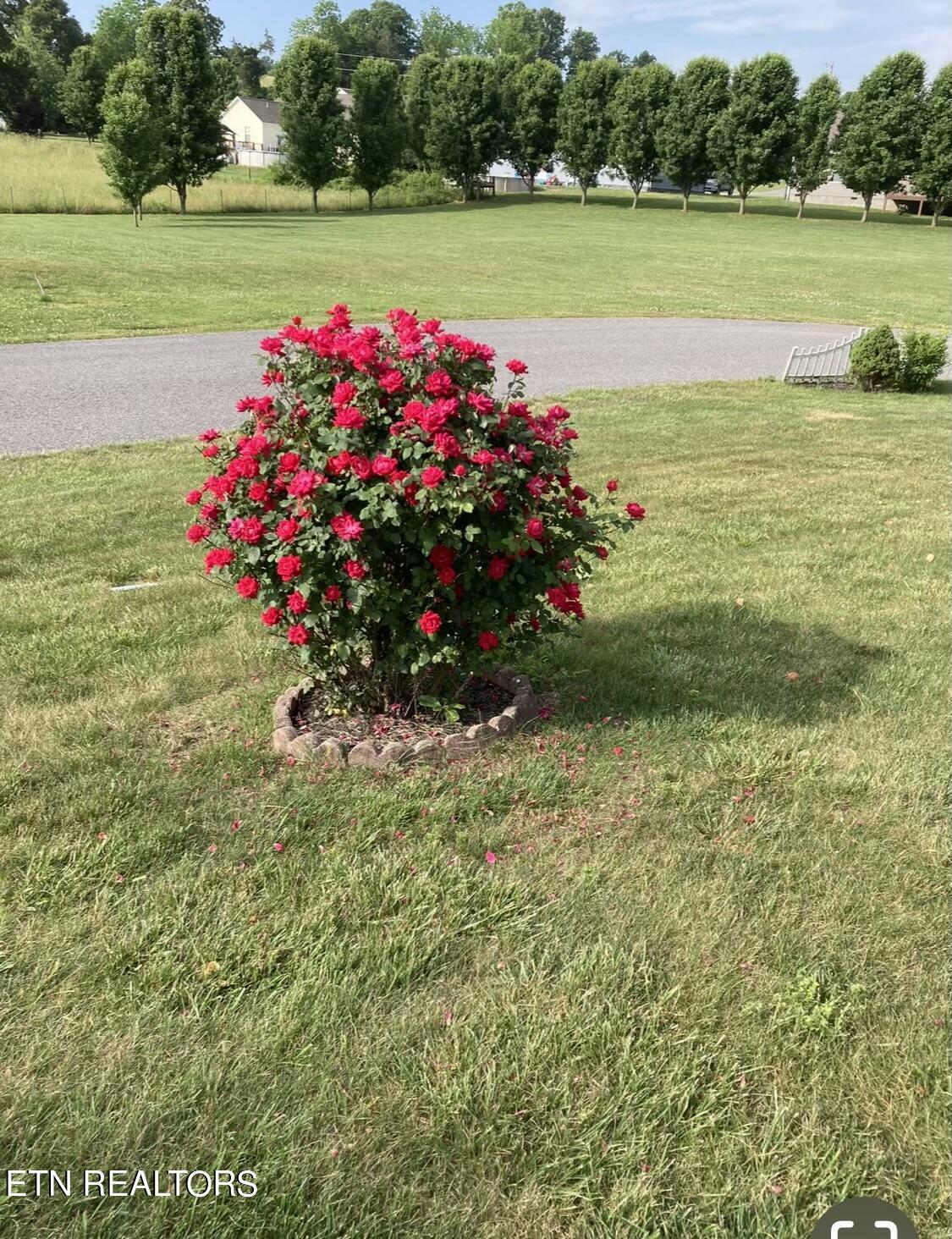 159 Austin Lane Jacksboro TN 37757