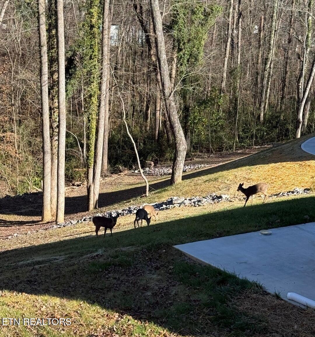 158 California Avenue Oak Ridge TN 37830