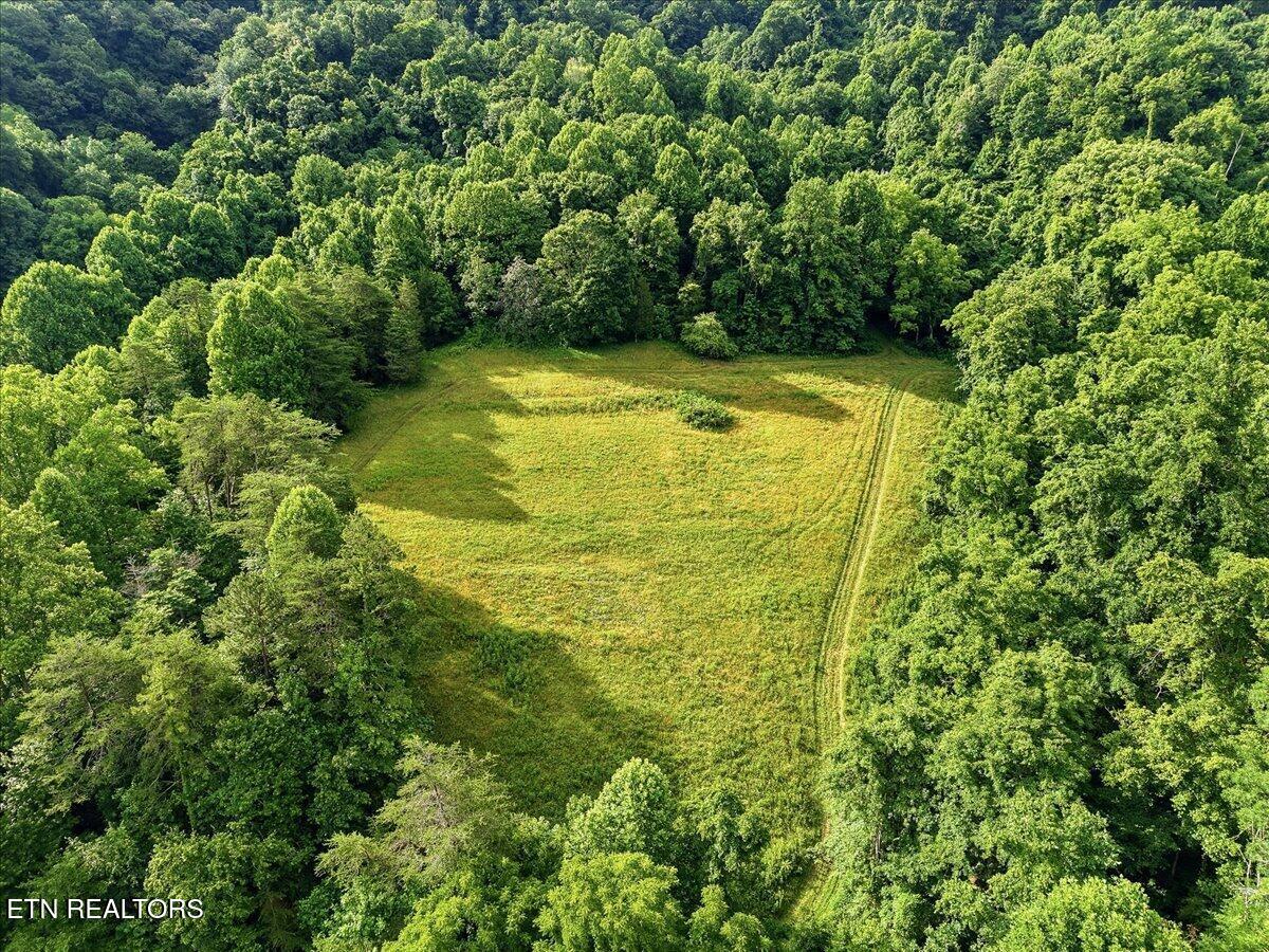 3503 Highway 70 N Eidson TN 37731