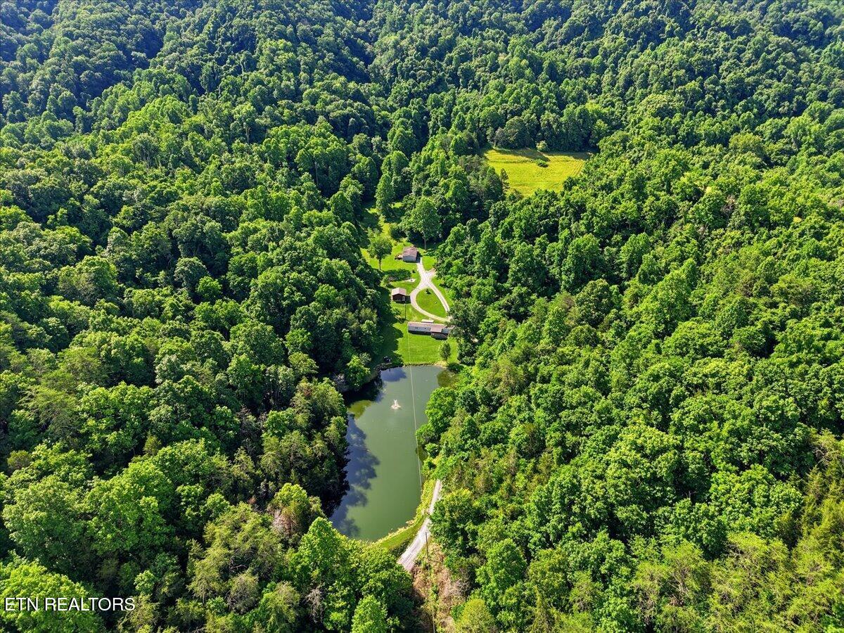 3503 Highway 70 N Eidson TN 37731