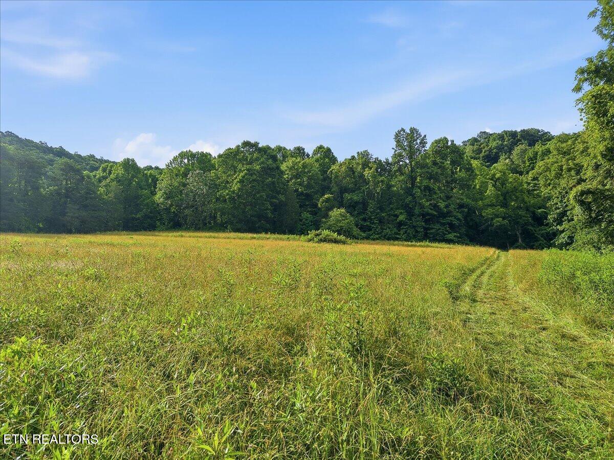 3503 Highway 70 N Eidson TN 37731