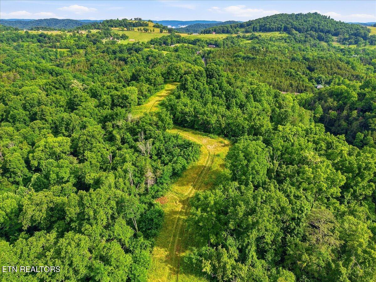 3503 Highway 70 N Eidson TN 37731